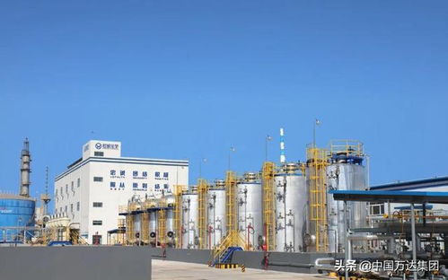 東營2021年重點項目觀摩 萬達集團四大項目引領產業升級，助推國內旅游業務發展